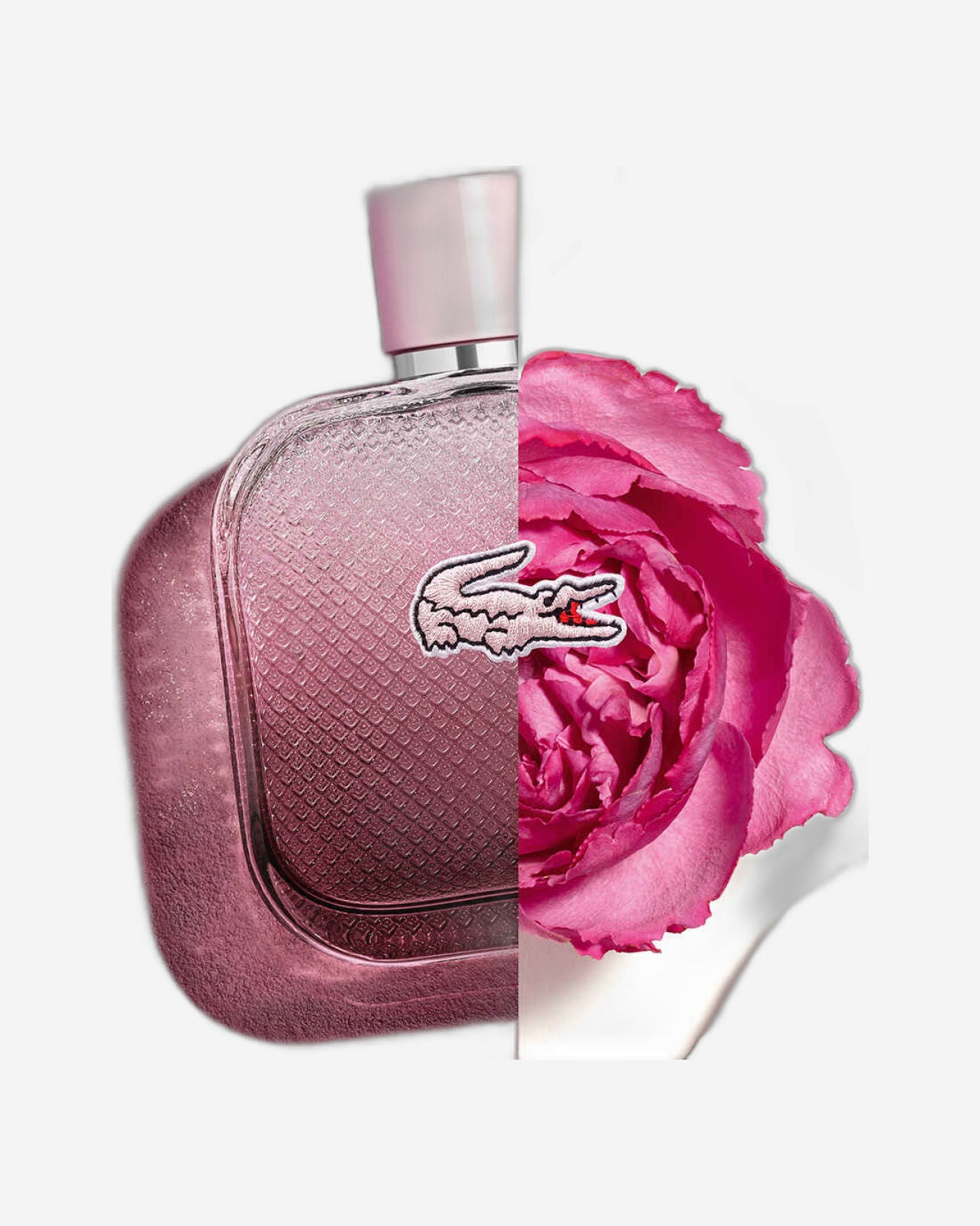 لاكوست L.12.12 روز أو إنتنس