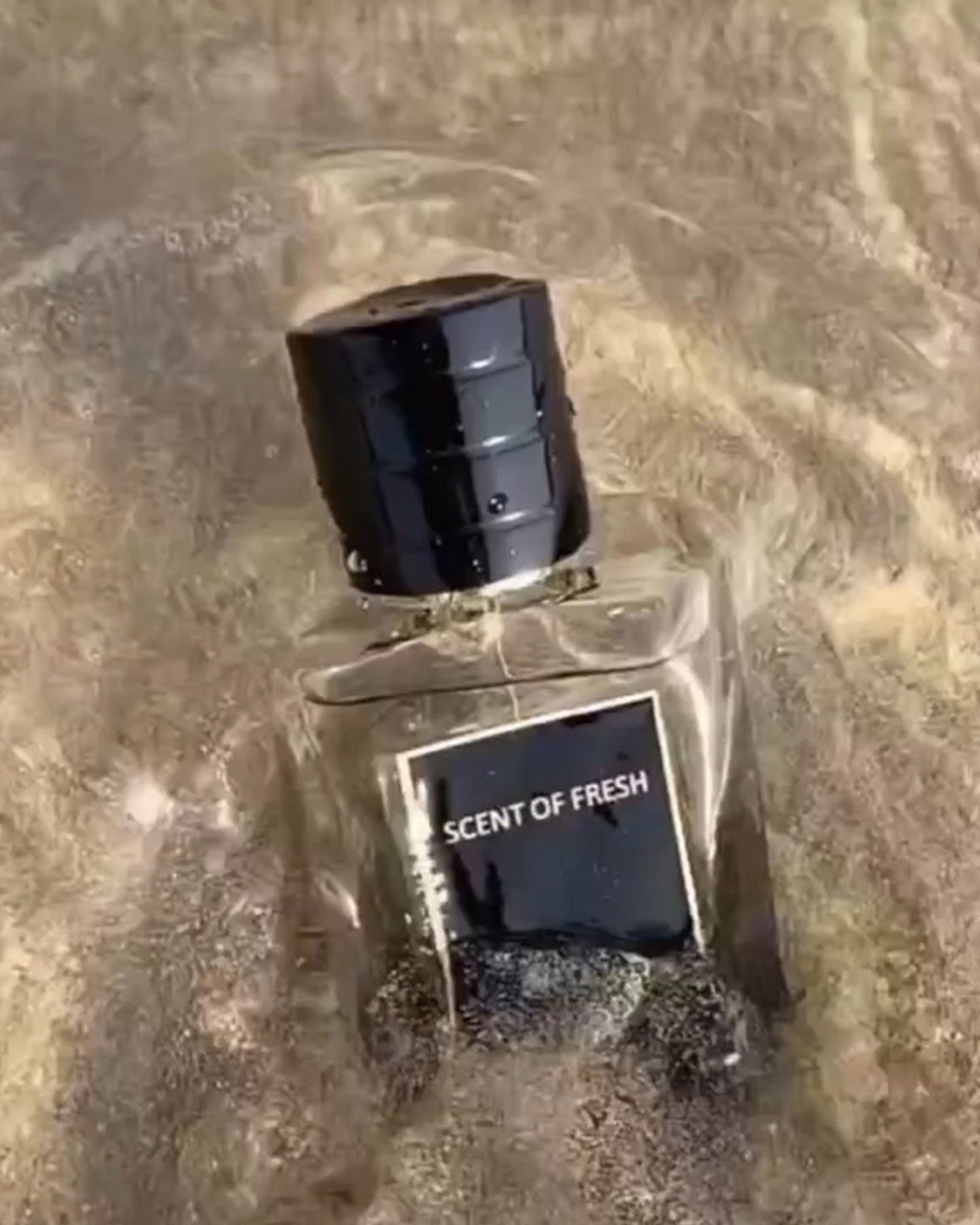 عطر سينت بوليفارد سينت أوف فريش أو دو برفوم للرجال والنساء 50 مل بخاخ طبيعي