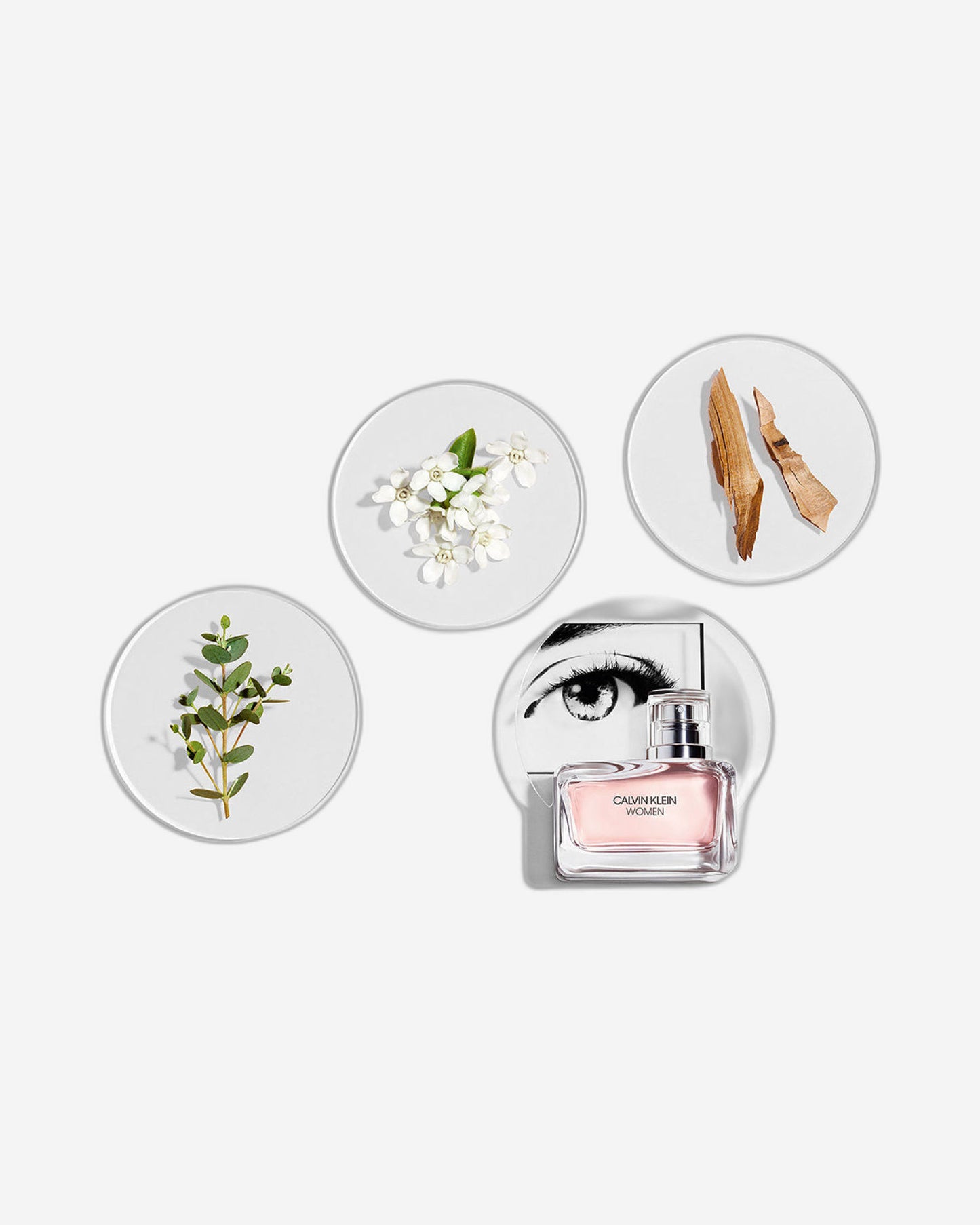 ماء عطر كالفن كلاين للنساء 50 مل بخاخ طبيعي