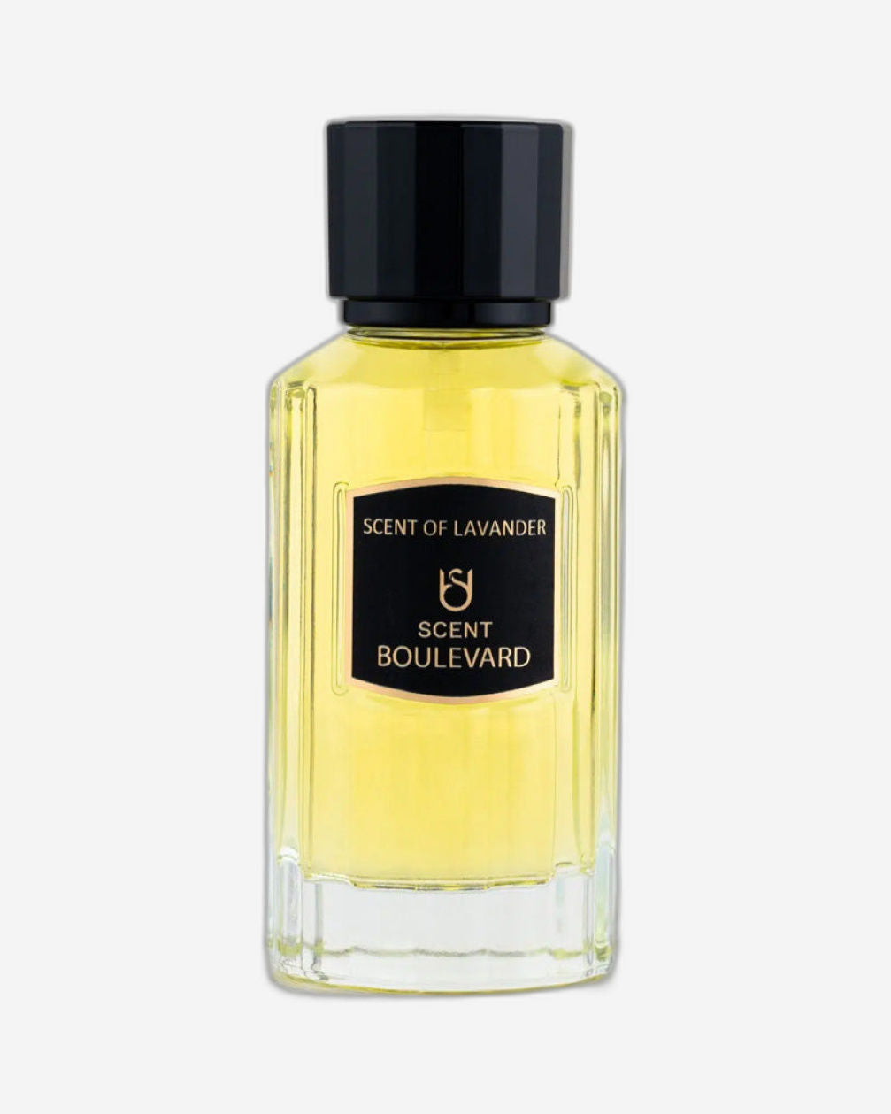 عطر سينت بوليفارد، عطر اللافندر، أو دو برفيوم للرجال، 100 مل، بخاخ طبيعي