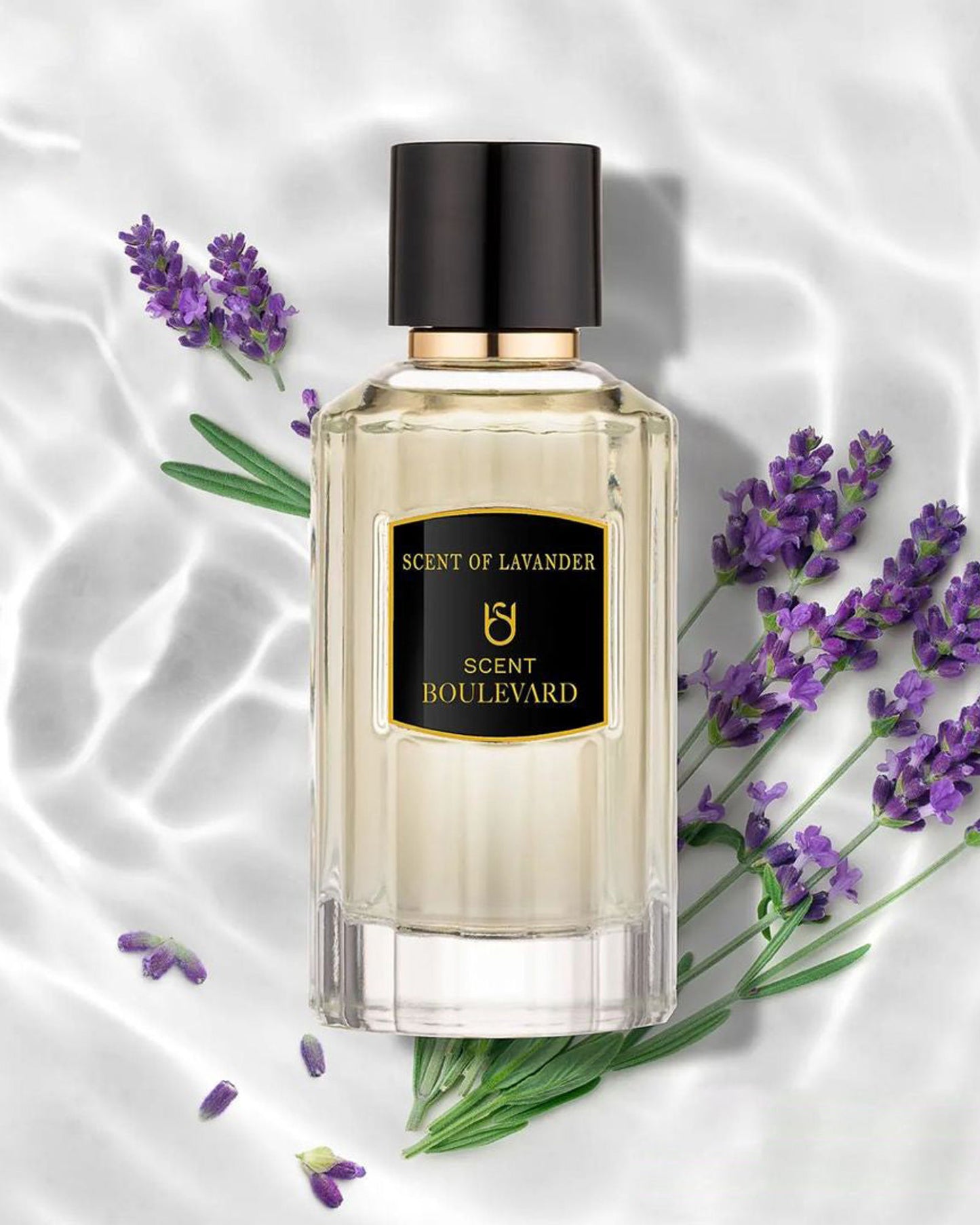 عطر سينت بوليفارد، عطر اللافندر، أو دو برفيوم للرجال، 100 مل، بخاخ طبيعي