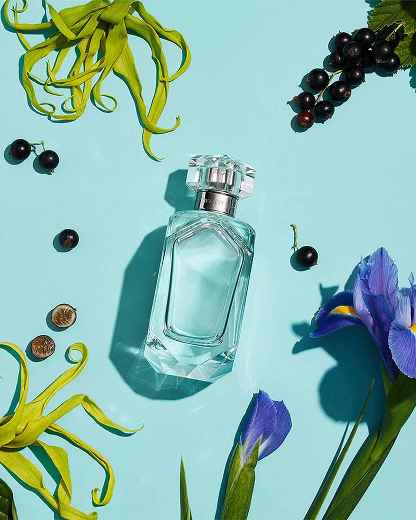 عطر تيفاني آند كو 75 مل