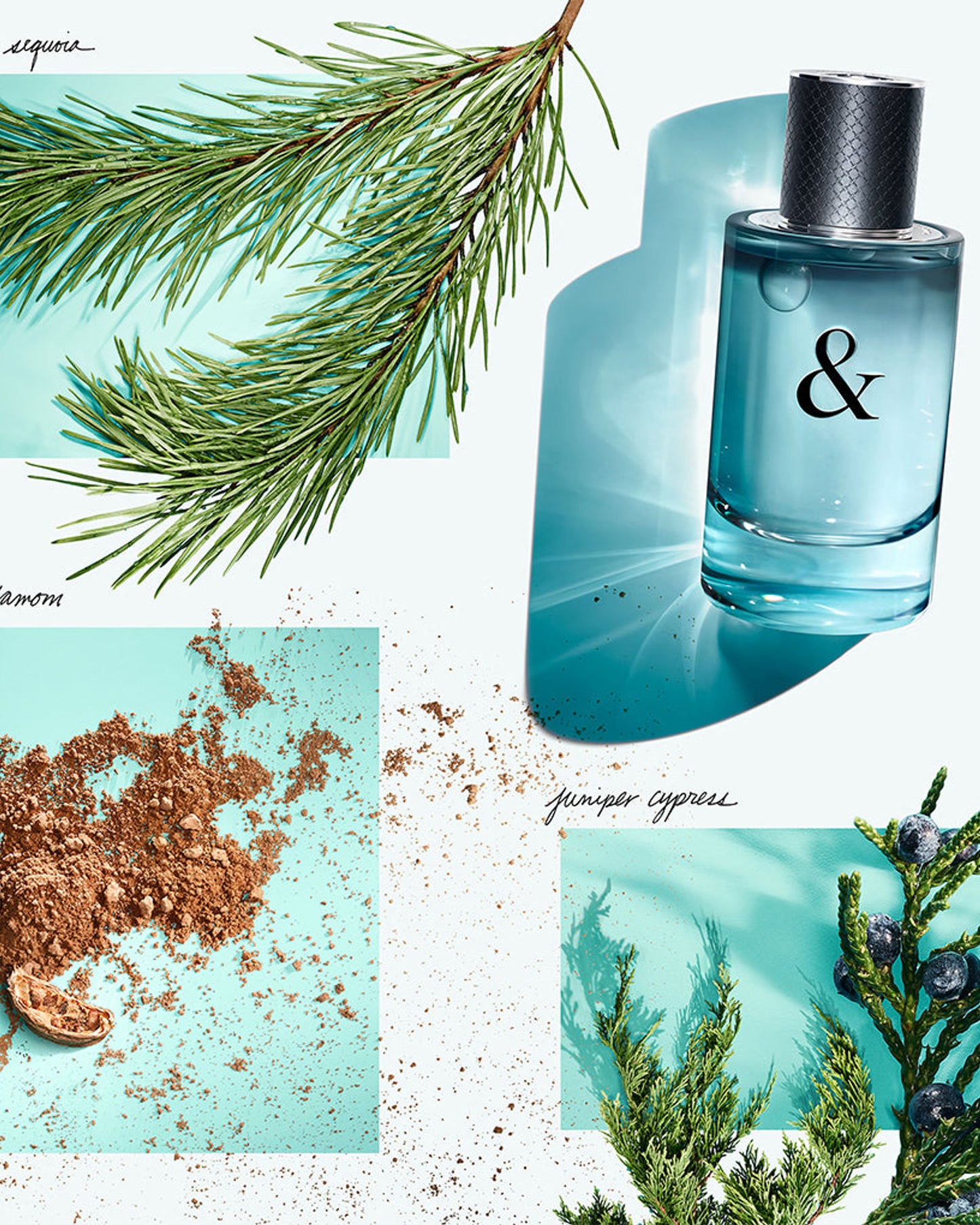عطر تيفاني آند لوف للرجال، 90 مل