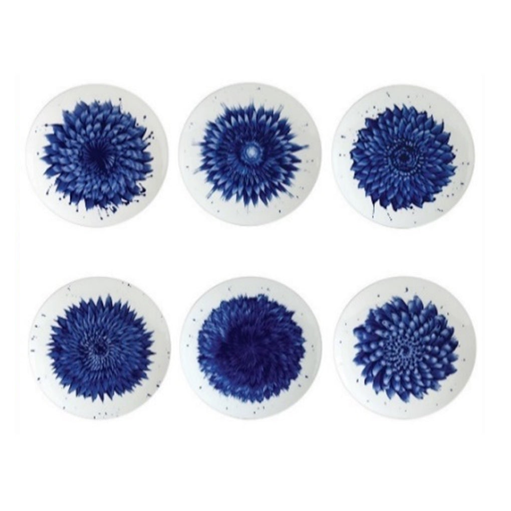IN BLOOM BOITE 6 ASS COUPE 21CM ASSORTIES